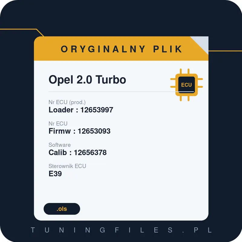 Oryginalny plik Opel 2.0 Turbo Loader : 12653997 Firmw : 12653093 Calib : 12656378