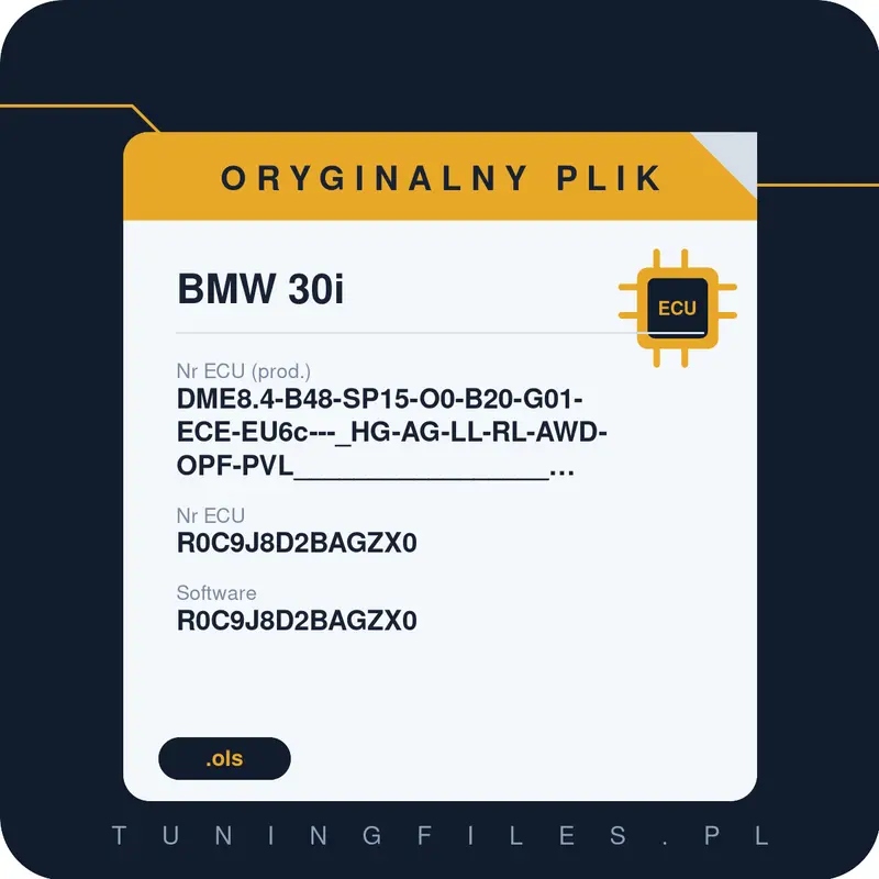 Oryginalny plik BMW 30i DME8.4-B48-SP15-O0-B20-G01-ECE-EU6c---_HG-AG-LL-RL-AWD-OPF-PVL_________________#EPST:R0C9J8D2B______#R0C9J8D2BAGZX0 R0C9J8D2BAGZX0 R0C9J8D2BAGZX0 R0C9J8D2B