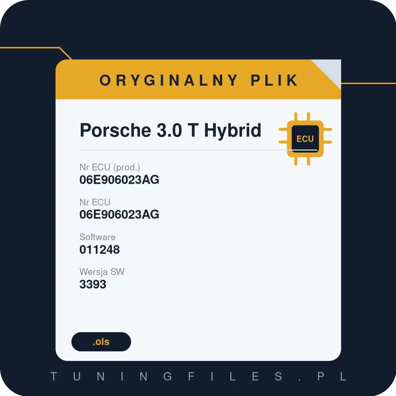 Oryginalny plik Porsche 3.0 T Hybrid 06E906023AG 06E906023AG 011248 3393