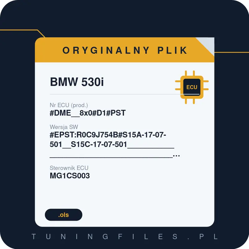 Oryginalny plik BMW 530i #DME__8x0#D1#PST #EPST:R0C9J754B#S15A-17-07-501__S15C-17-07-501______________________________________________________________________________________________________________________________________