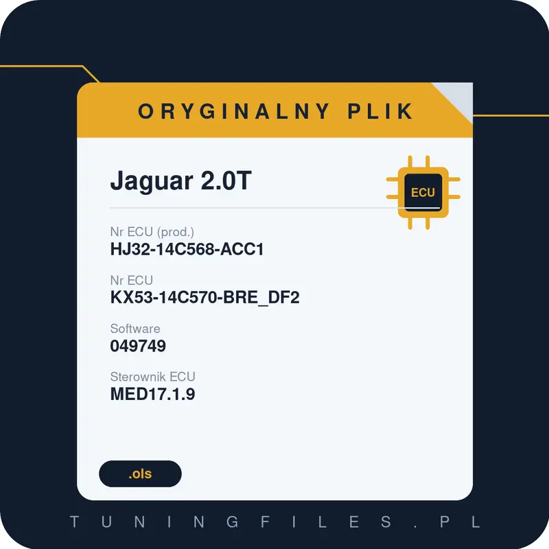 Oryginalny plik Jaguar 2.0T HJ32-14C568-ACC1 KX53-14C570-BRE_DF2 049749