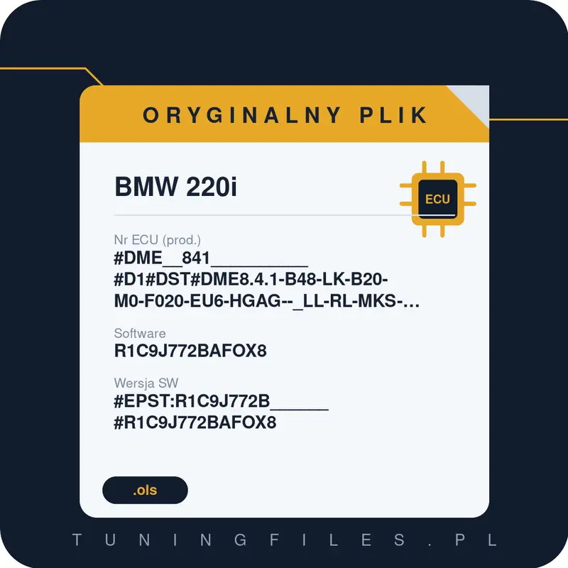 Oryginalny plik BMW 220i #DME__841__________#D1#DST#DME8.4.1-B48-LK-B20-M0-F020-EU6-HGAG--_LL-RL-MKS-ROW-RWD-EPS11-PVL_____________ R1C9J772BAFOX8 #EPST:R1C9J772B______#R1C9J772BAFOX8