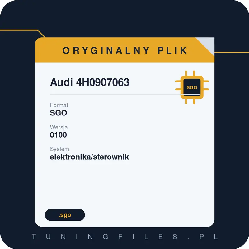 Oryginalny Plik SGO Audi 4H0907063 0100