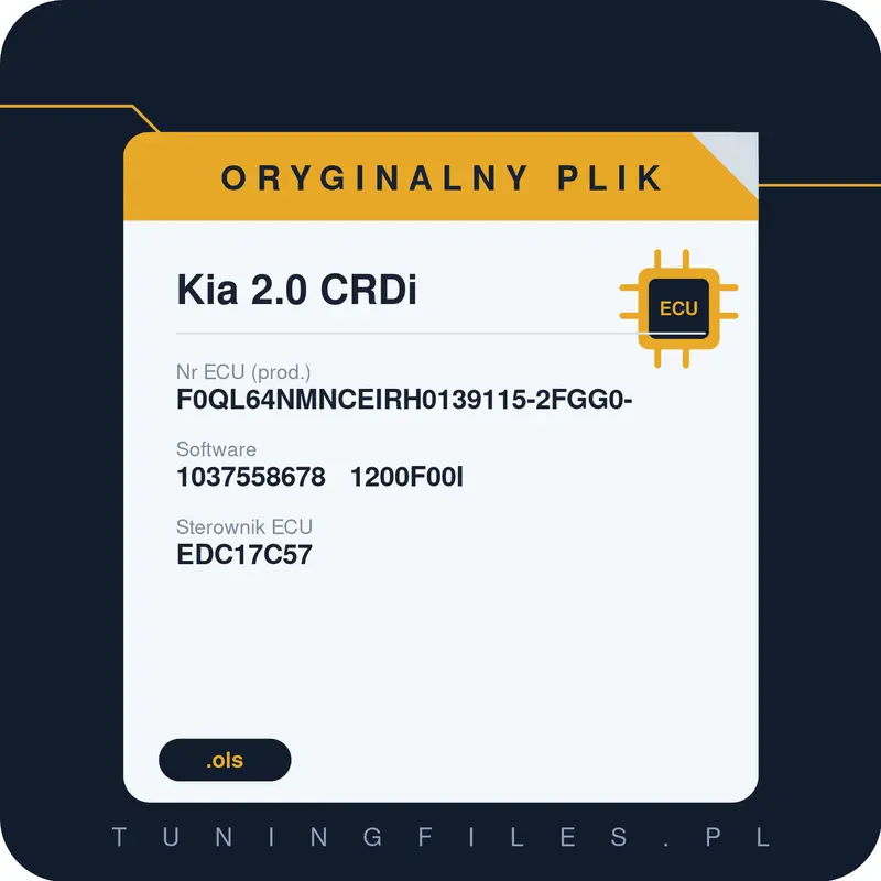 Oryginalny plik Kia 2.0 CRDi F0QL64NMNCEIRH0139115-2FGG0- 1037558678 1200F00I
