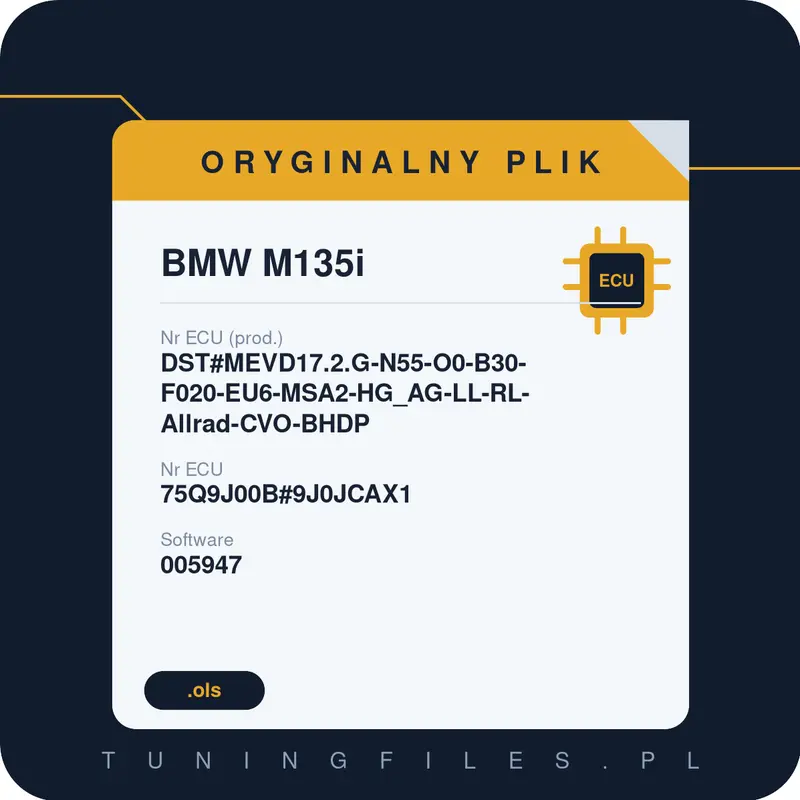 Oryginalny plik BMW M135i DST#MEVD17.2.G-N55-O0-B30-F020-EU6-MSA2-HG_AG-LL-RL-Allrad-CVO-BHDP 75Q9J00B#9J0JCAX1 005947 9J0JCAX1