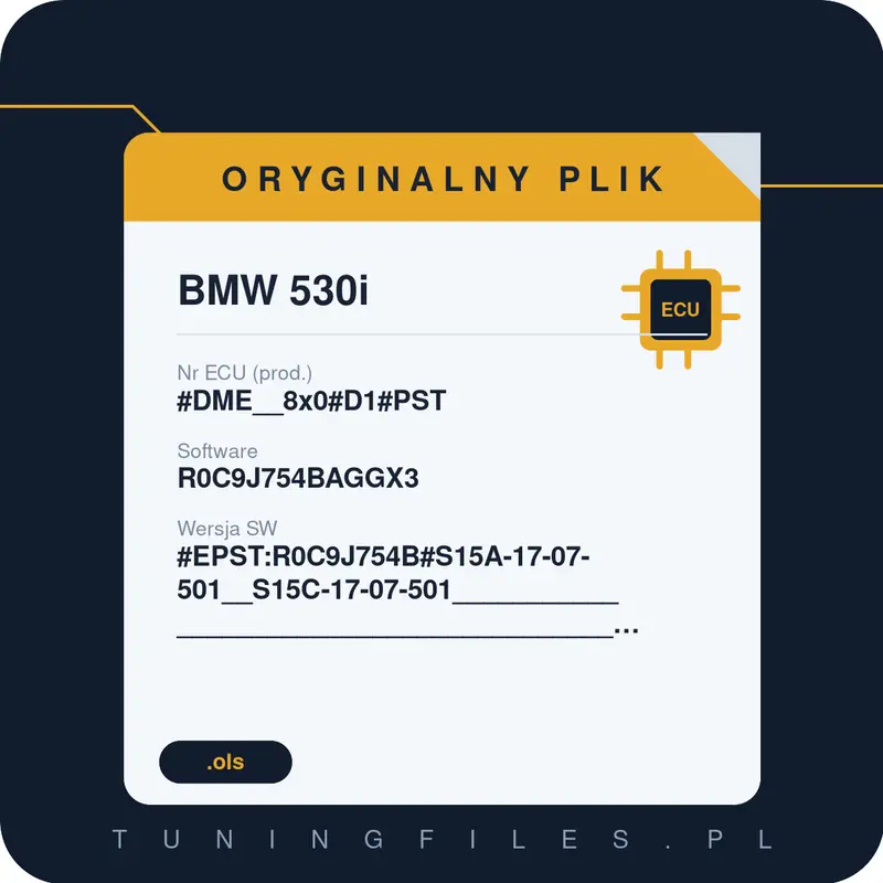 Oryginalny plik BMW 530i #DME__8x0#D1#PST R0C9J754BAGGX3 #EPST:R0C9J754B#S15A-17-07-501__S15C-17-07-501______________________________________________________________________________________________________________________________________