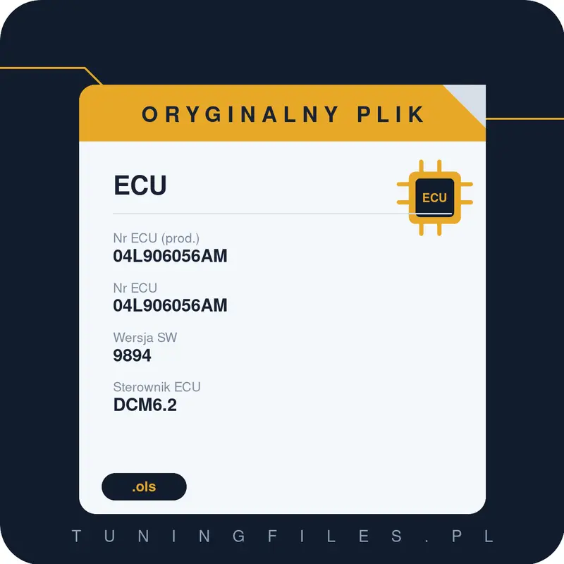 Oryginalny plik 04L906056AM 04L906056AM 9894