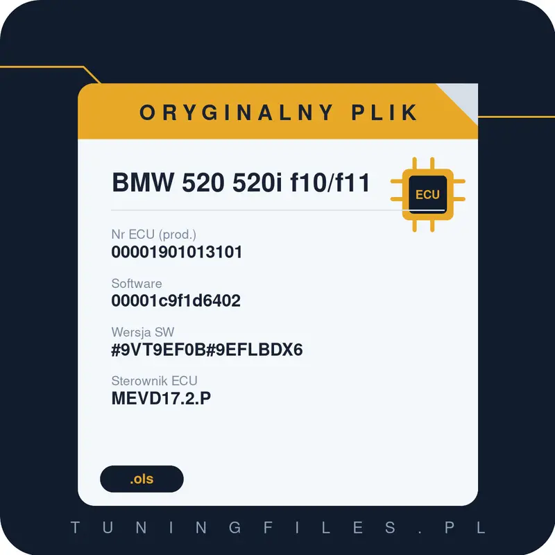 Oryginalny plik BMW 520 520i f10/f11 00001901013101 00001c9f1d6402 #9VT9EF0B#9EFLBDX6