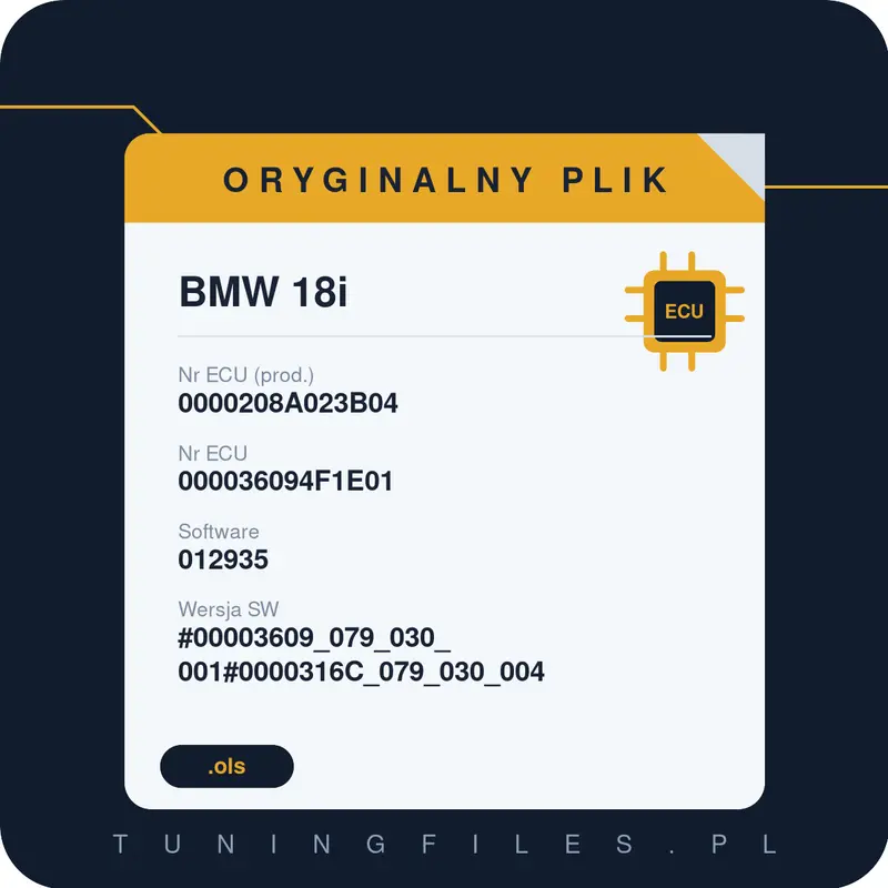 Oryginalny plik BMW 18i 0000208A023B04 000036094F1E01 012935 #00003609_079_030_001#0000316C_079_030_004