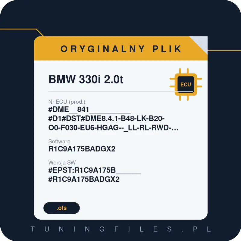 Oryginalny plik BMW 330i 2.0t #DME__841__________#D1#DST#DME8.4.1-B48-LK-B20-O0-F030-EU6-HGAG--_LL-RL-RWD-EPS10.2_PVL___________________ R1C9A175BADGX2 #EPST:R1C9A175B______#R1C9A175BADGX2
