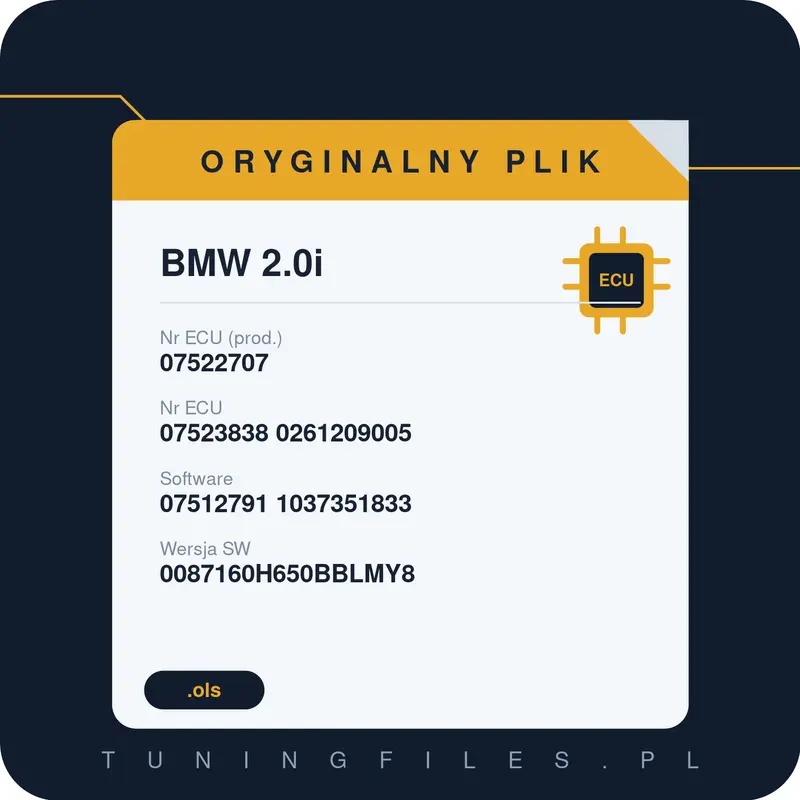 Oryginalny plik BMW 2.0i 07522707 07523838 0261209005 07512791 1037351833 0087160H650BBLMY8