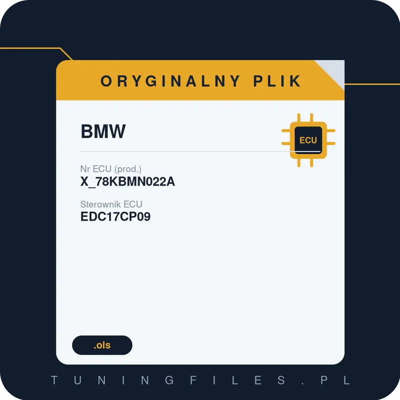 Oryginalny plik BMW X_78KBMN022A