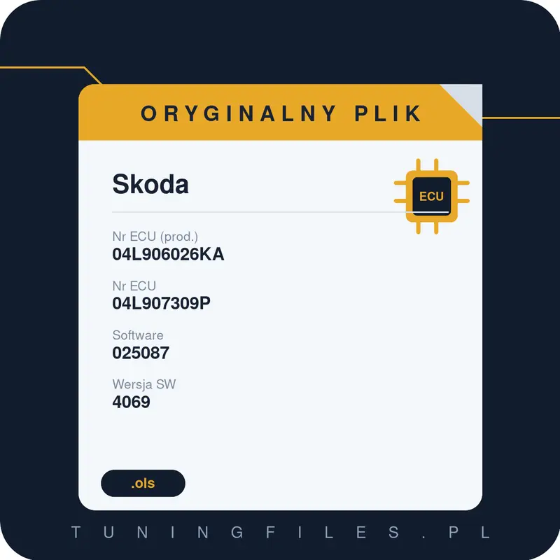 Oryginalny plik Skoda 04L906026KA 04L907309P 025087 4069