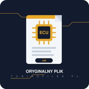 Oryginalny plik ECU