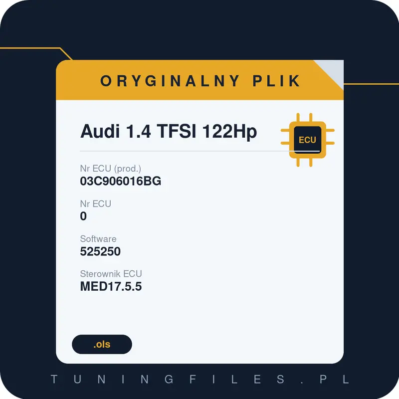 Oryginalny plik Audi 1.4 TFSI 122Hp 03C906016BG 525250
