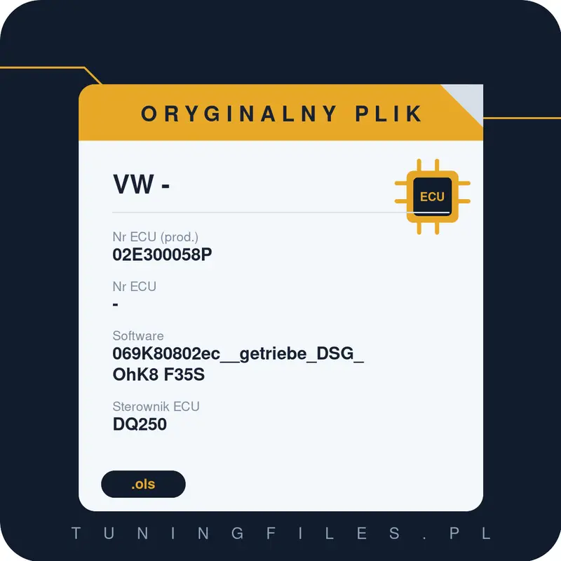 Oryginalny plik VW 02E300058P 069K80802ec__getriebe_DSG_OhK8 F35S