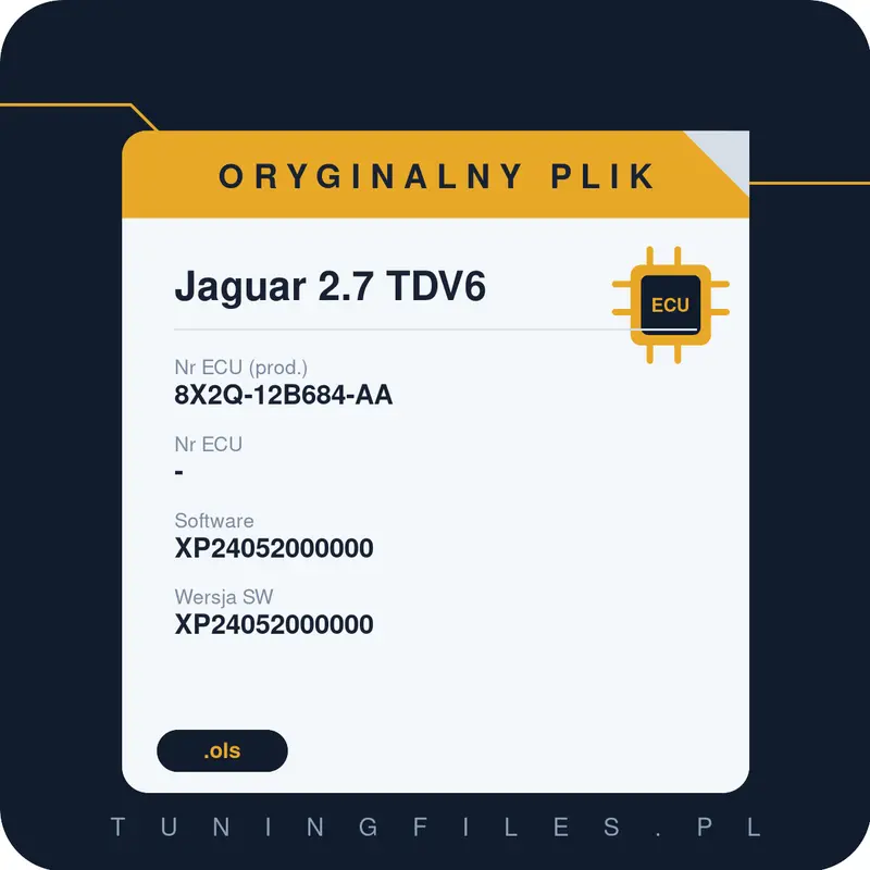 Oryginalny plik Jaguar 2.7 TDV6 8X2Q-12B684-AA XP24052000000 XP24052000000