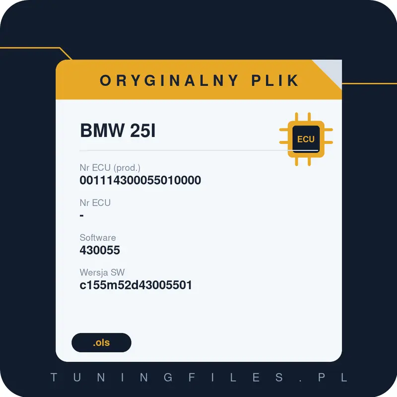 Oryginalny plik BMW 25I 001114300055010000 430055 c155m52d43005501