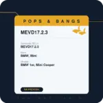 Włączenie Popsów na przycisk w sterowniku MEVD17.2.3 – BMW, Mini