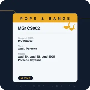 Włączenie Popsów w sterowniku MG1CS002 – Audi, Porsche