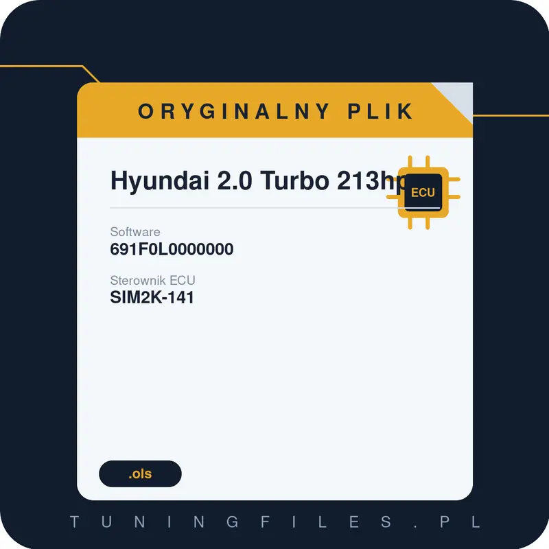 Oryginalny plik Hyundai 2.0 Turbo 213hp 691F0L0000000