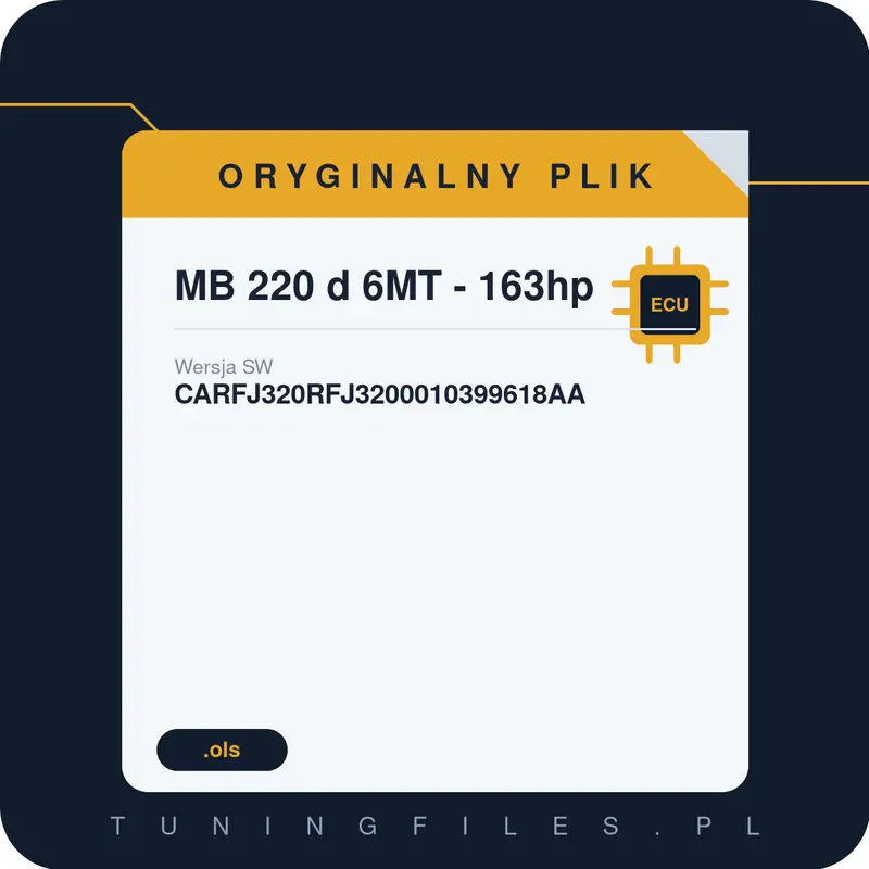 Oryginalny plik MB 220 d 6MT - 163hp CARFJ320RFJ3200010399618AA