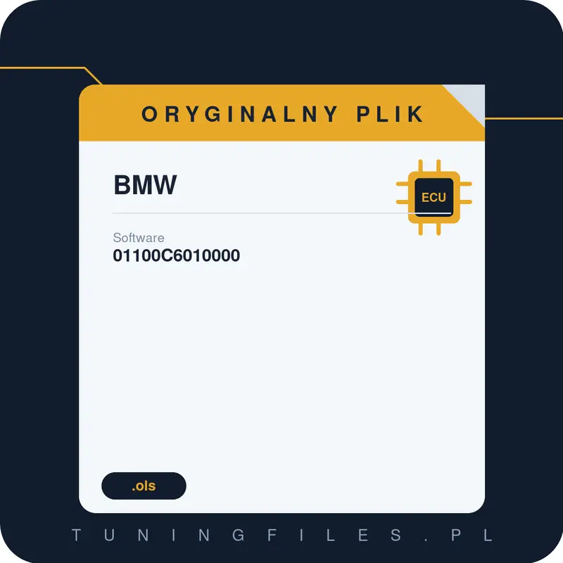 Oryginalny plik BMW 01100C6010000