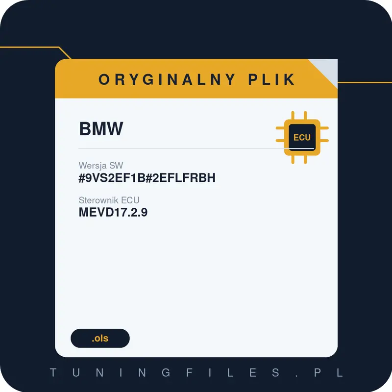 Oryginalny plik BMW #9VS2EF1B#2EFLFRBH