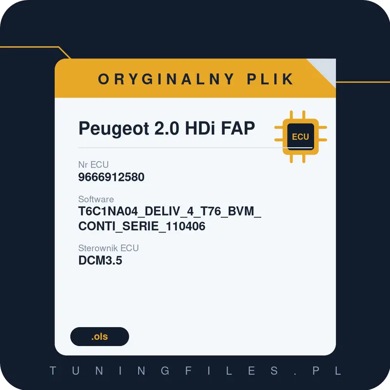 Oryginalny plik Peugeot 2.0 HDi FAP T6C1NA04_DELIV_4_T76_BVM_CONTI_SERIE_110406