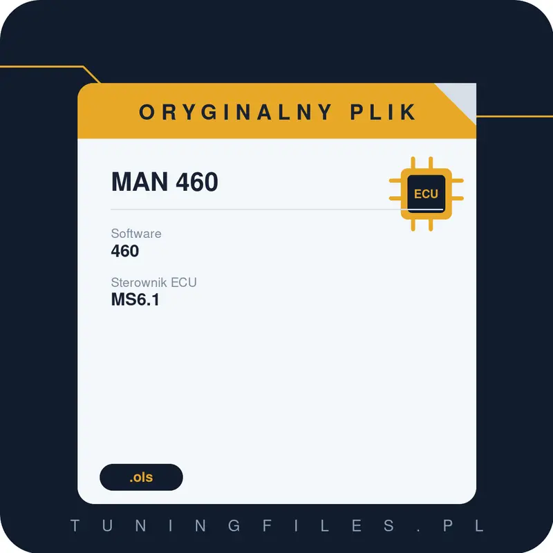 Oryginalny plik MAN 460 460