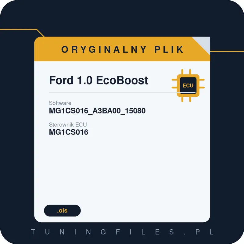 Oryginalny plik Ford 1.0 EcoBoost MG1CS016_A3BA00_15080
