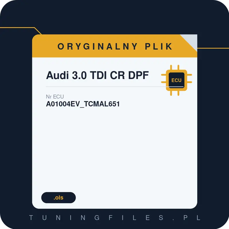 Oryginalny plik Audi 3.0 TDI CR DPF