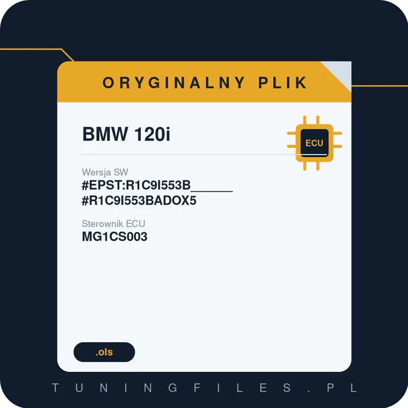 Oryginalny plik BMW 120i #EPST:R1C9I553B______#R1C9I553BADOX5