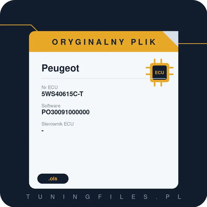 Oryginalny plik Peugeot PO30091000000