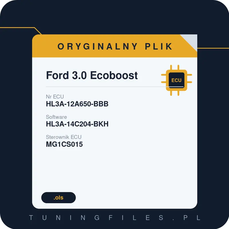 Oryginalny plik Ford 3.0 Ecoboost HL3A-14C204-BKH