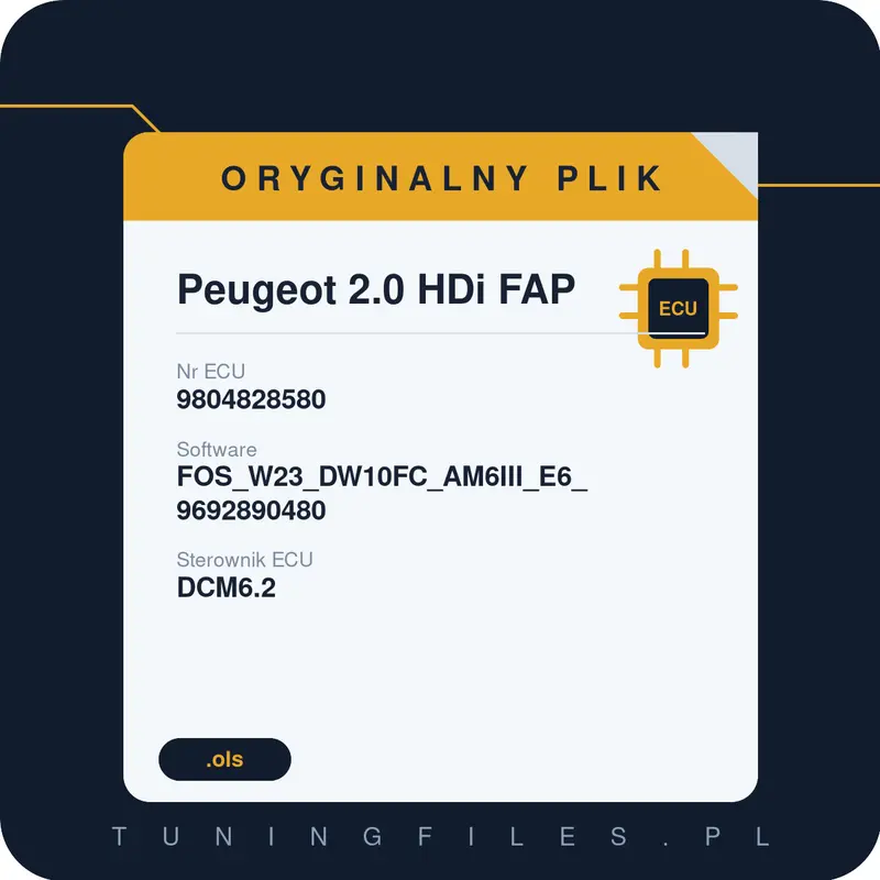Oryginalny plik Peugeot 2.0 HDi FAP FOS_W23_DW10FC_AM6III_E6_9692890480