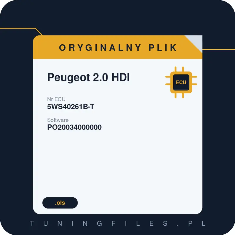 Oryginalny plik Peugeot 2.0 HDI PO20034000000