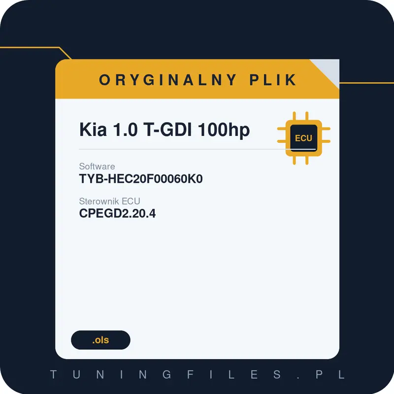 Oryginalny plik Kia 1.0 T-GDI 100hp TYB-HEC20F00060K0