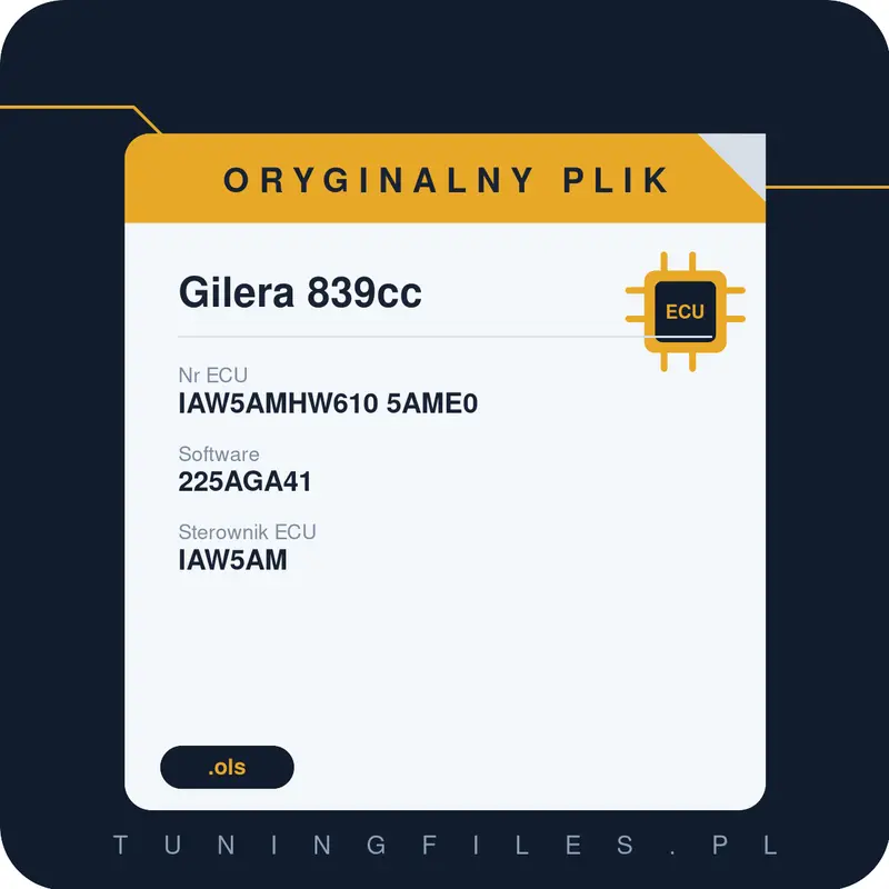 Oryginalny plik Gilera 839cc 225AGA41