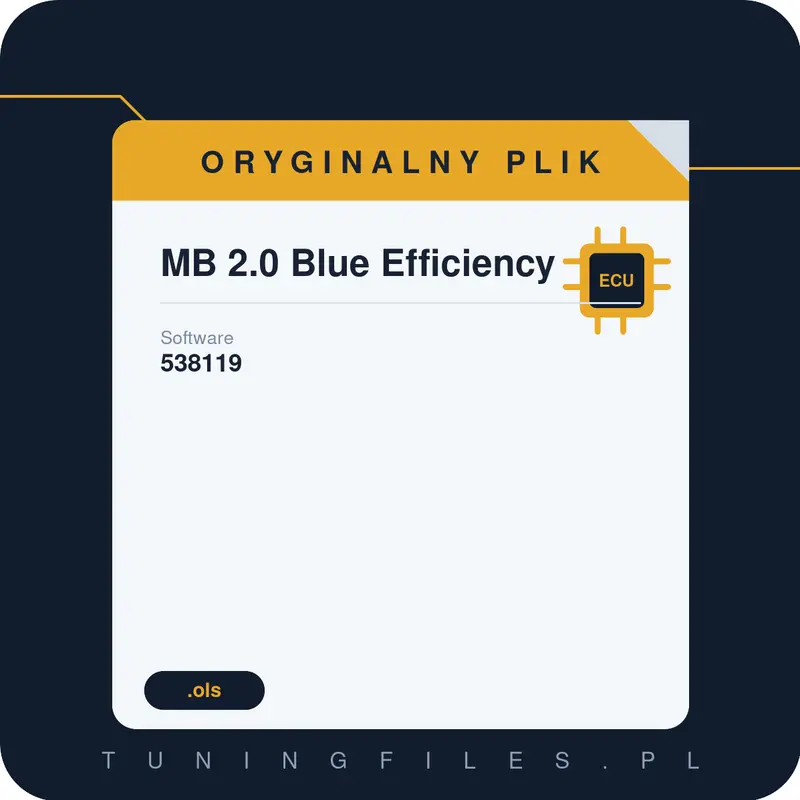Oryginalny plik MB 2.0 Blue Efficiency 538119